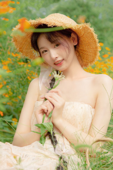 美丽的姑娘免费观看在线播放国语